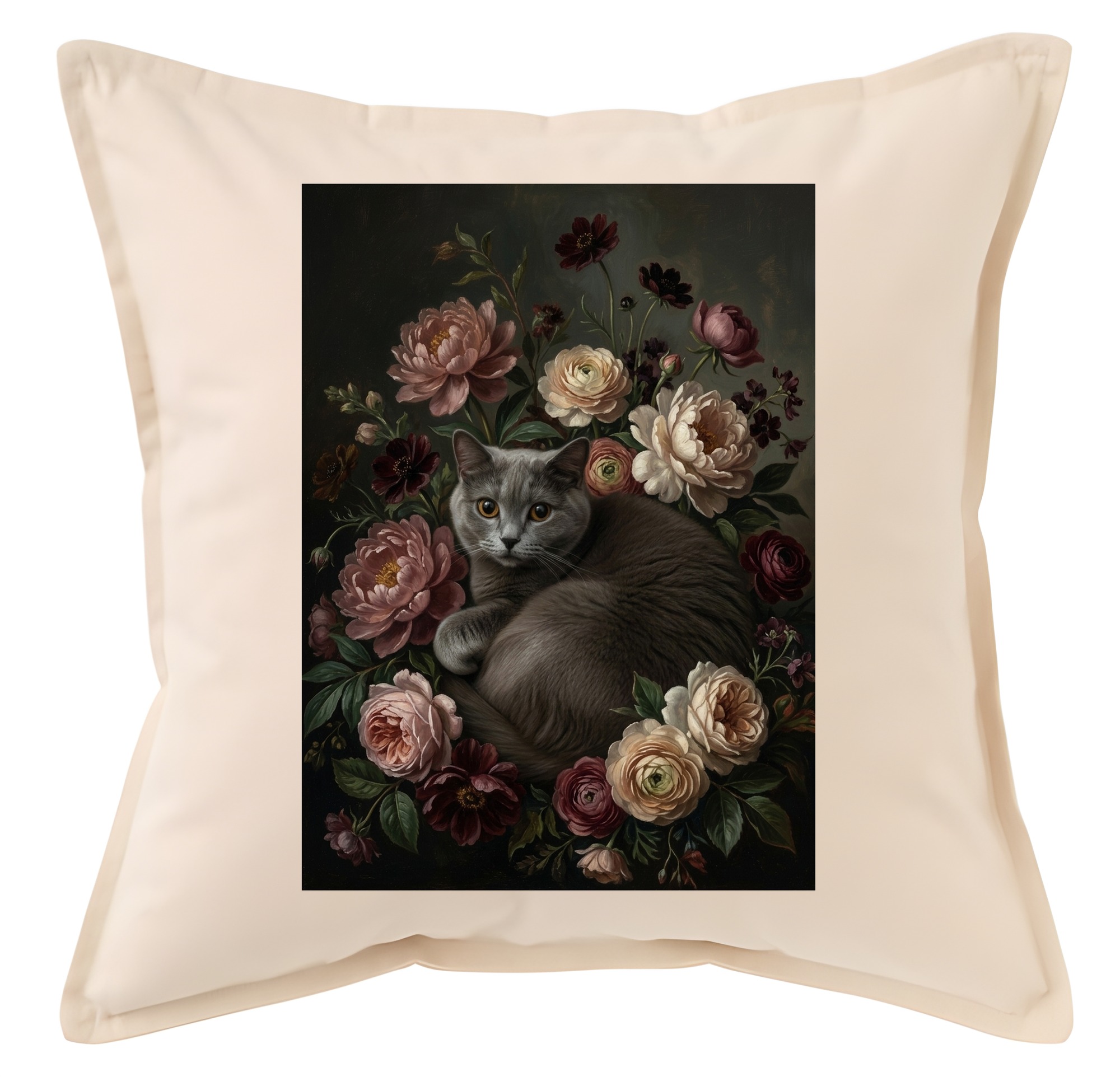 British Shorthair Cat — photo 1