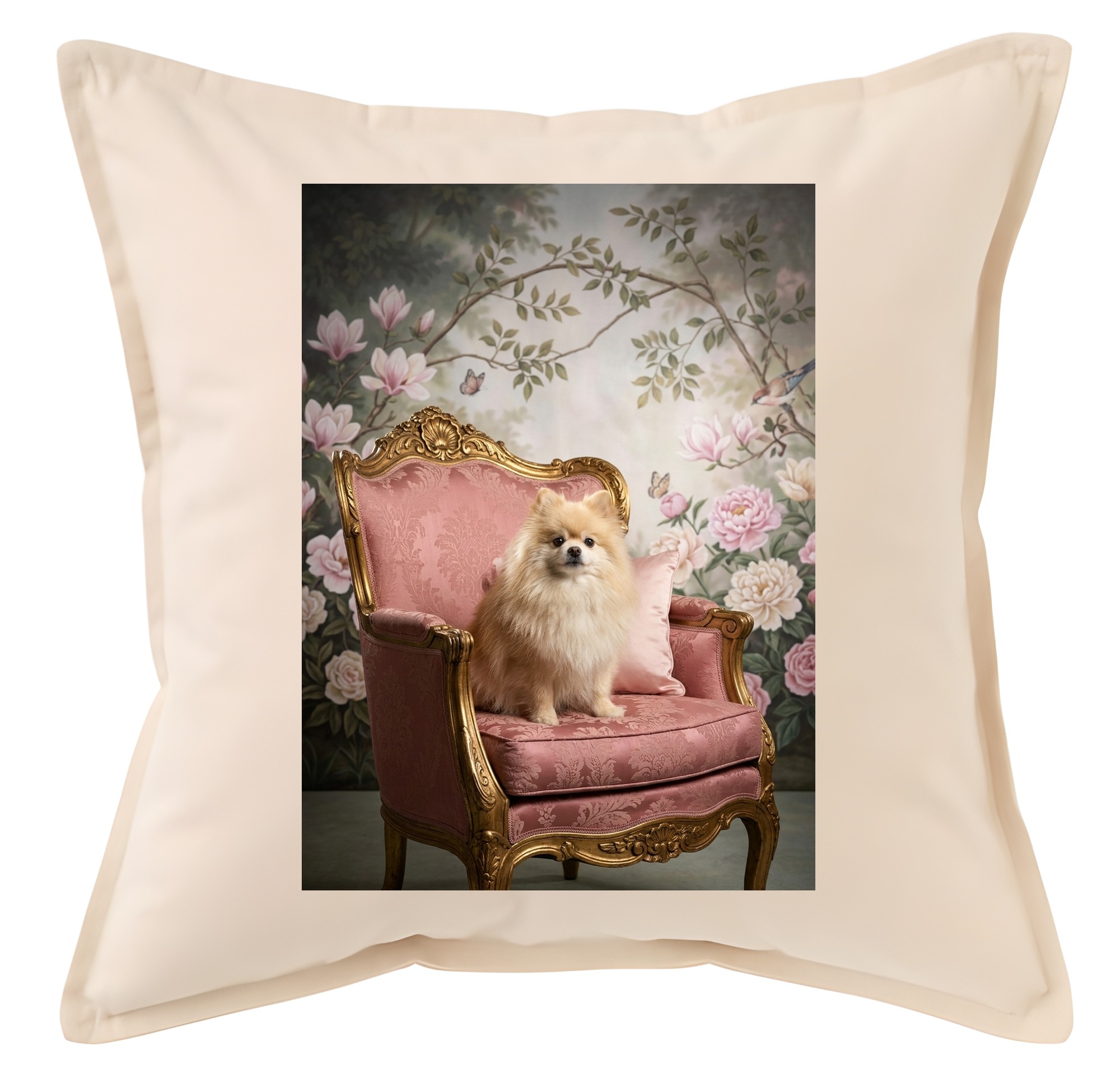 Pomeranian Dog — photo 1