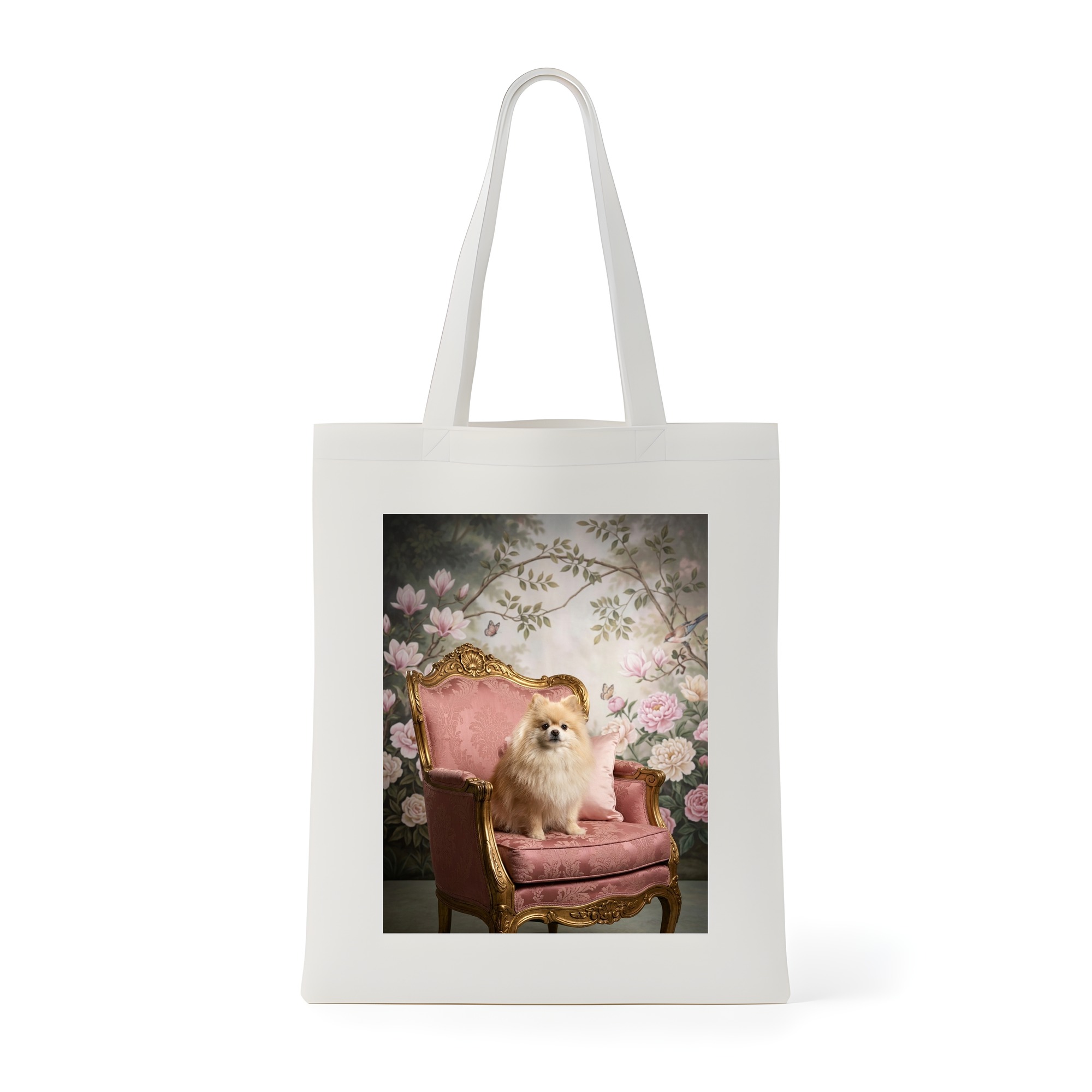 Pomeranian Dog — photo 1