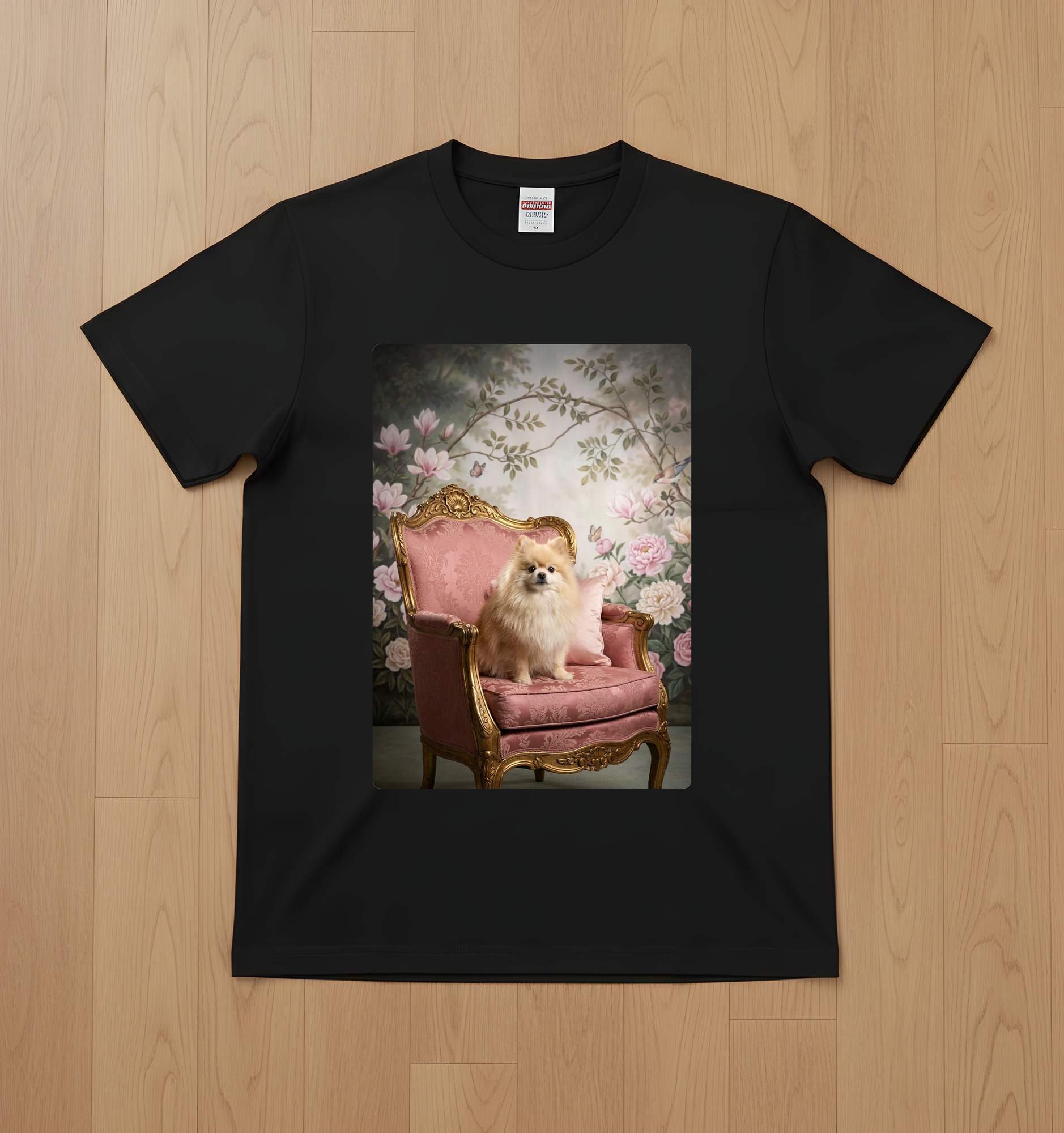 Pomeranian Dog — photo 1