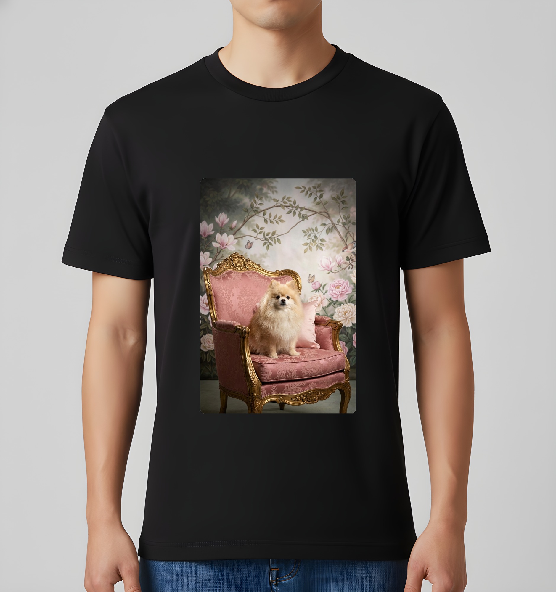 Pomeranian Dog — photo 3