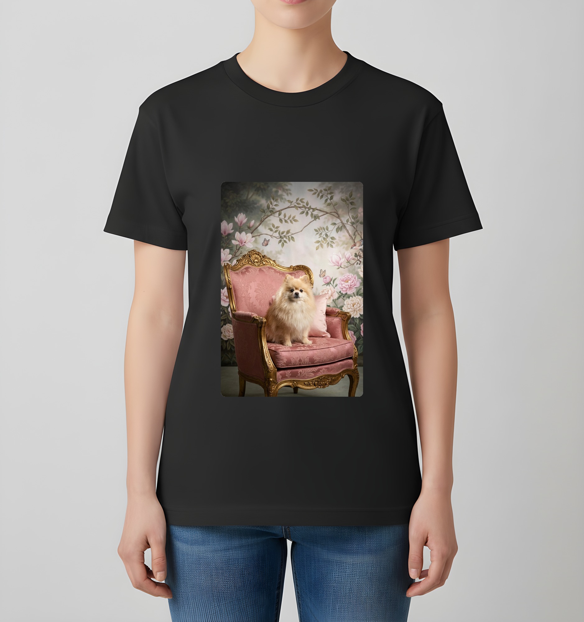 Pomeranian Dog — photo 4