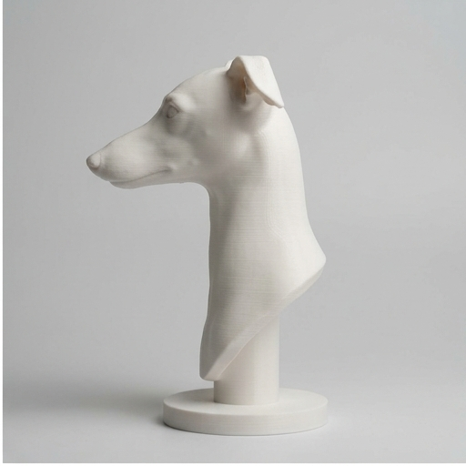 Italian greyhound Dog — photo 4