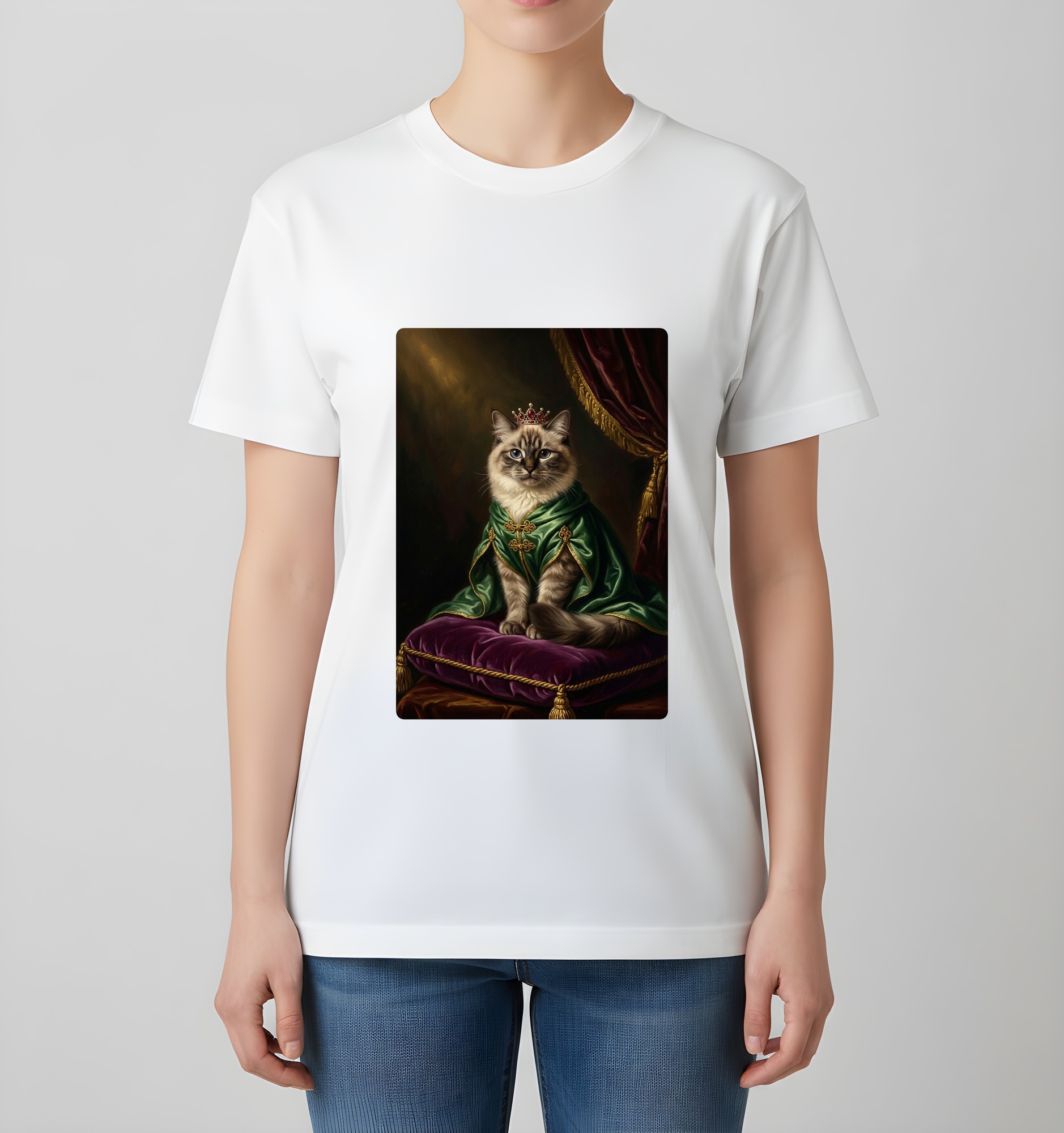 Himalayan Cat — photo 4