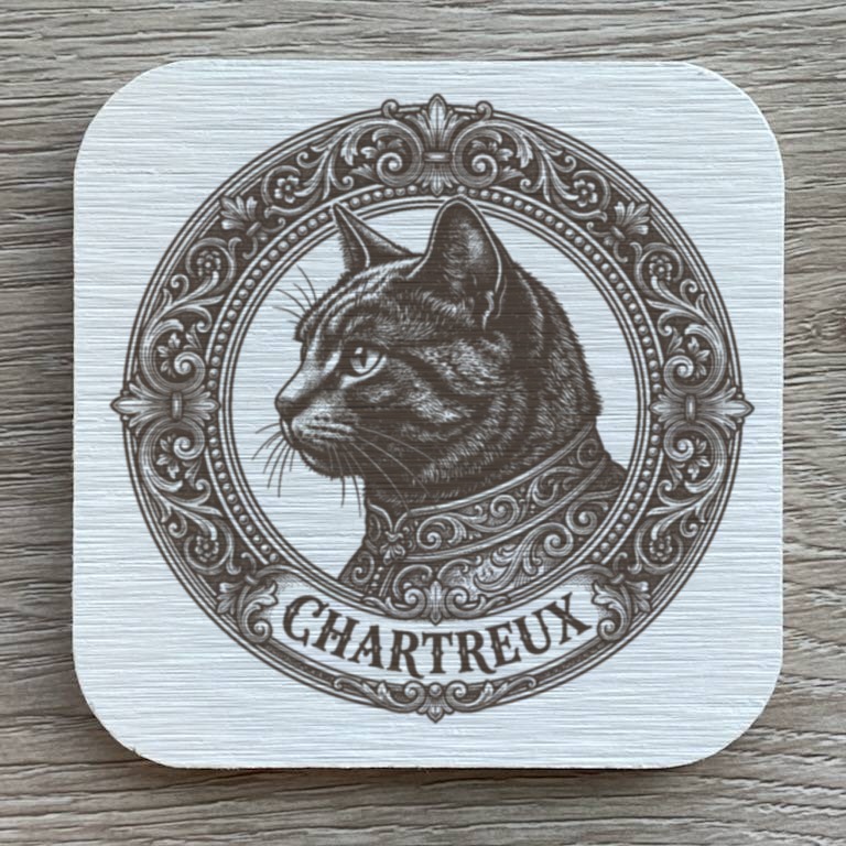 Chartreux Cat — photo 1