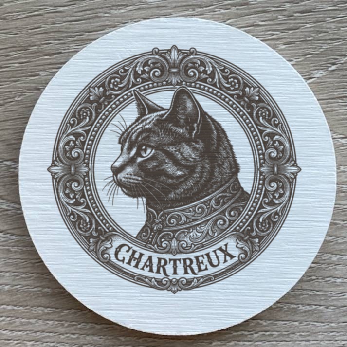 Chartreux Cat — photo 2