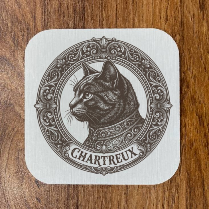 Chartreux Cat — photo 4
