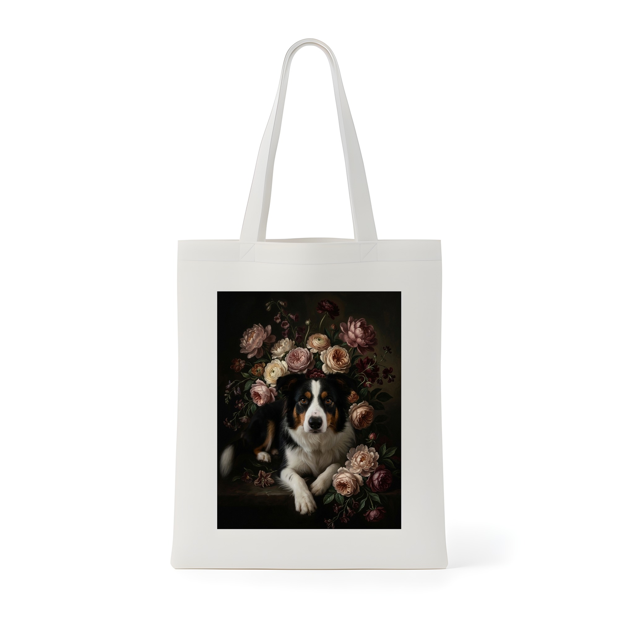 border collie Dog — photo 1