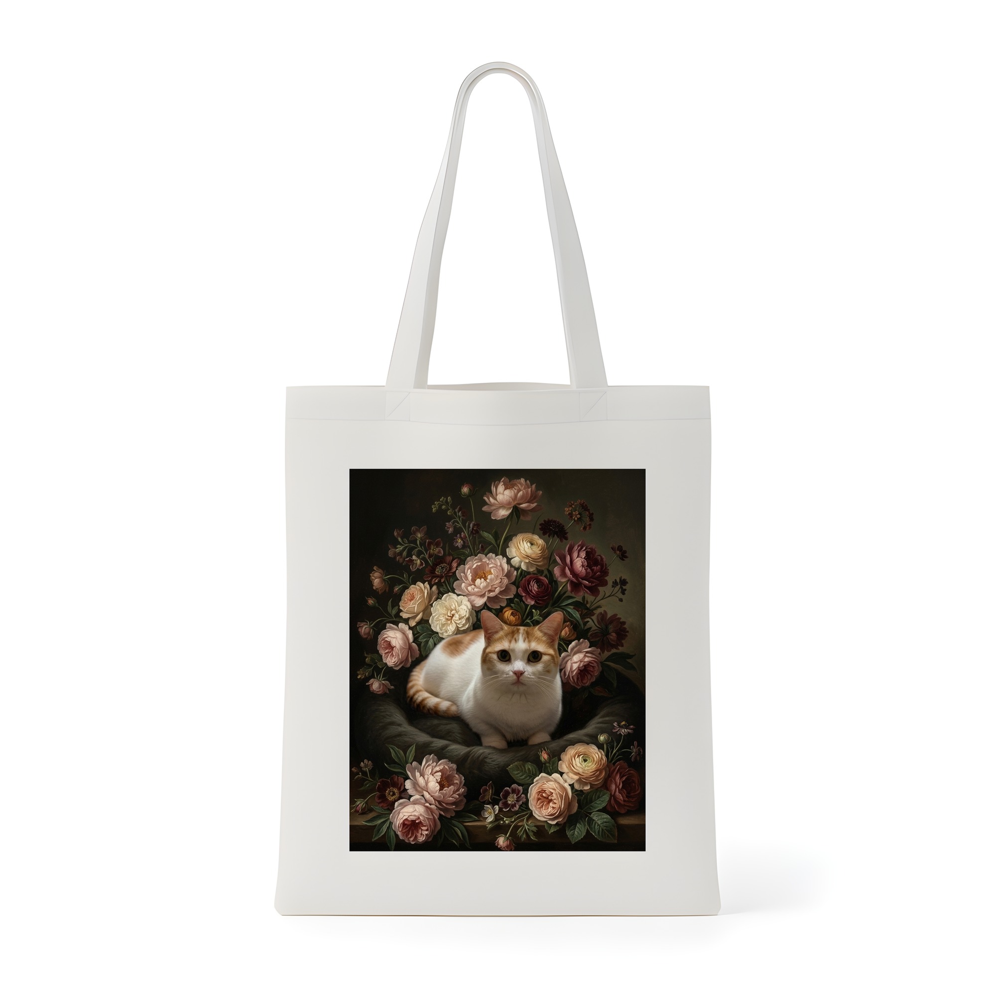 Munchkin Cat — photo 1