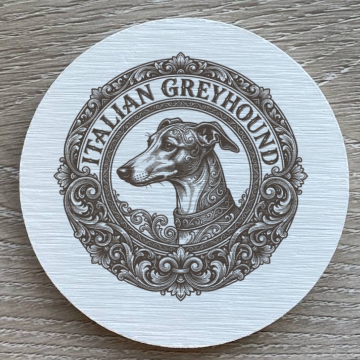 Italian greyhound Dog — photo 2