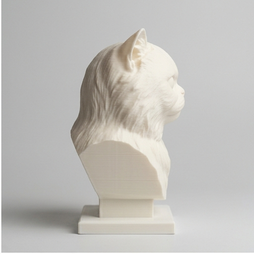 ペルシャ猫のルネサンス肖像画胸像(4枚目)