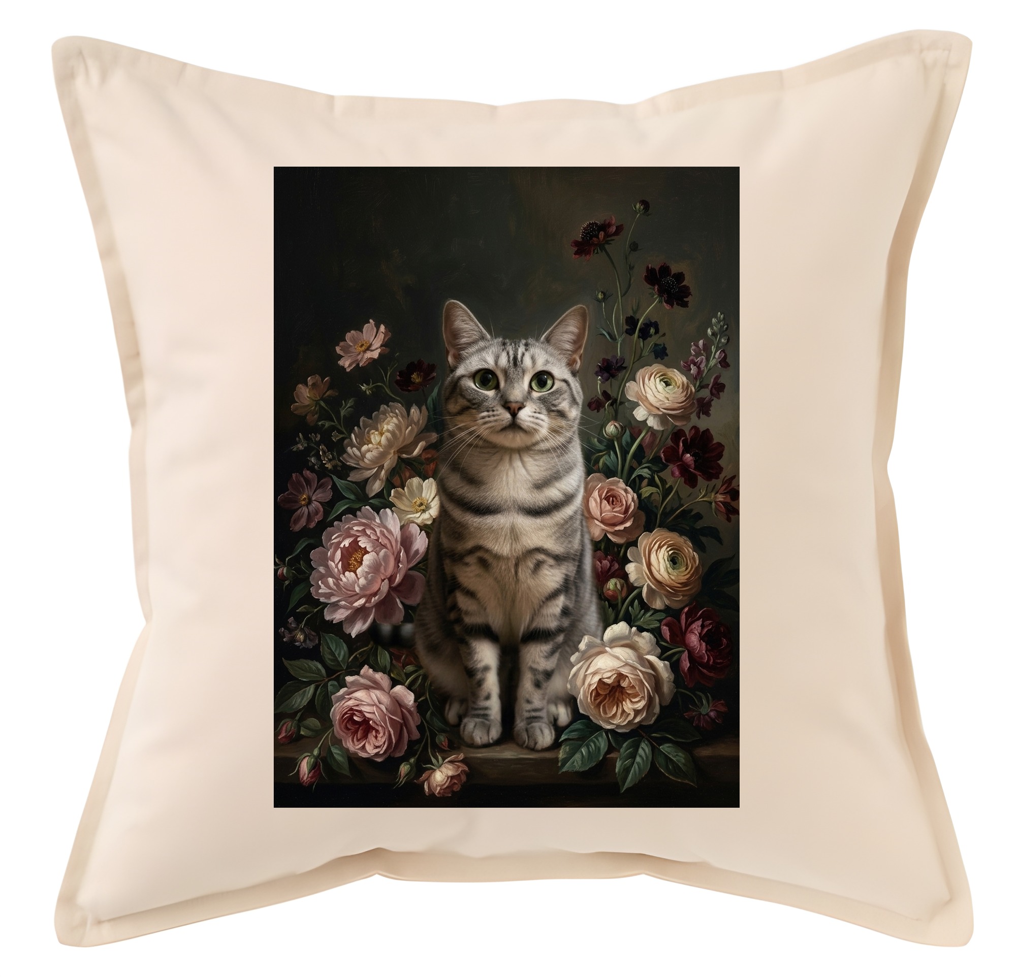 American Shorthair Cat — photo 1
