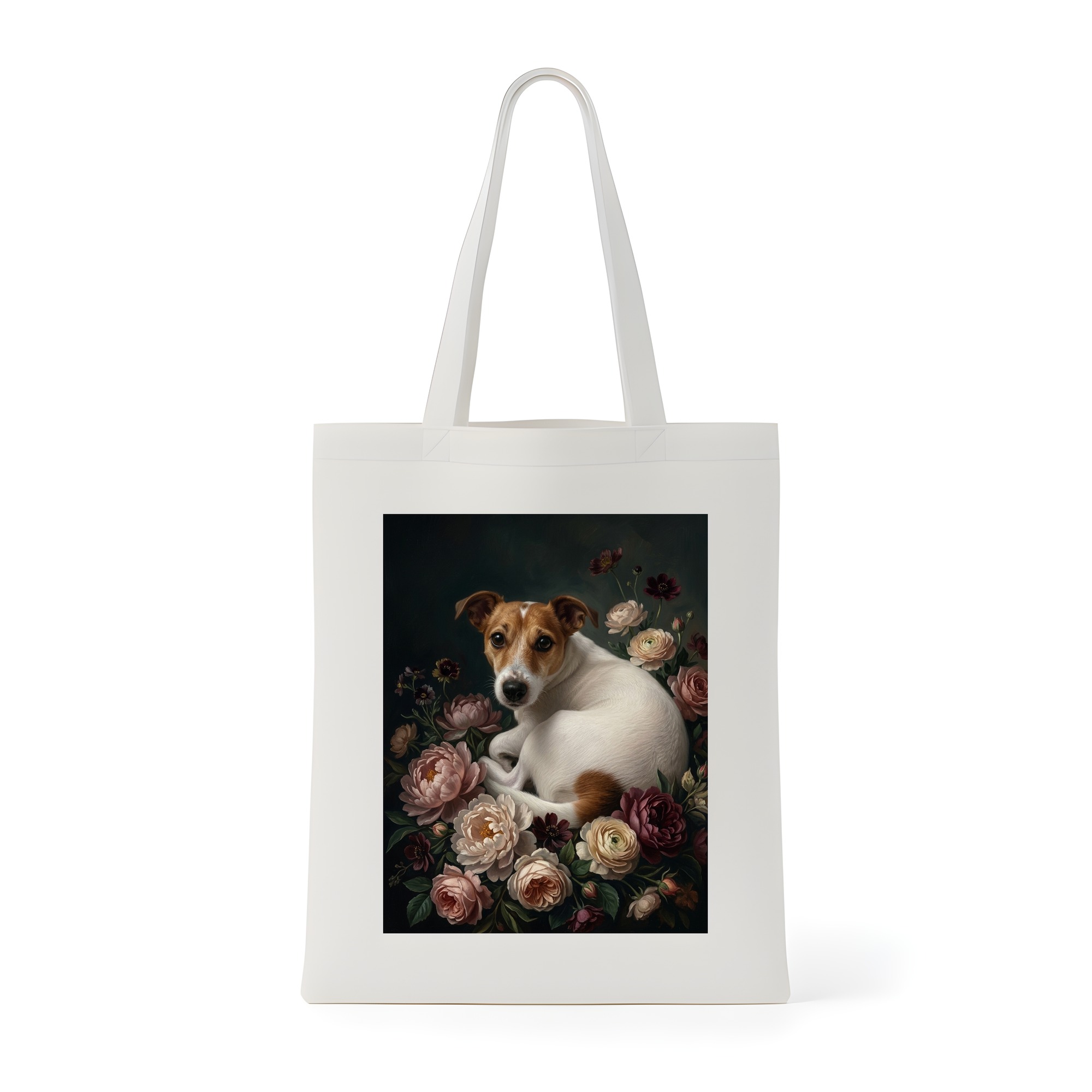 Jack Russell terrier Dog — photo 1