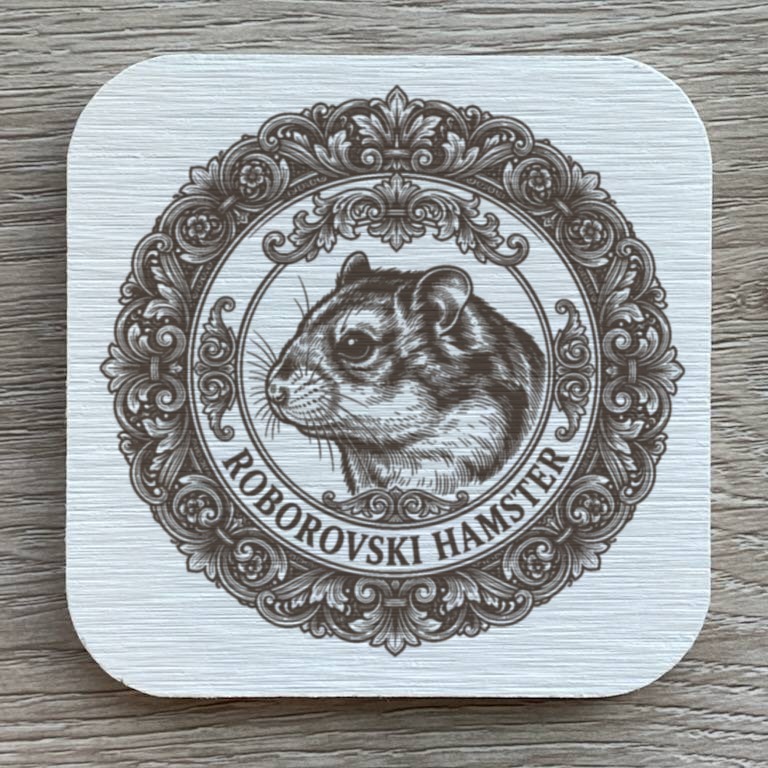 Roborovski hamster — photo 1