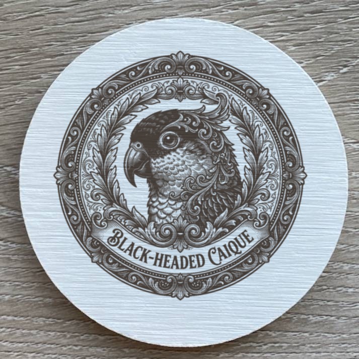 ズグロシロハラインコのルネサンス肖像画コースターセット(2枚目)