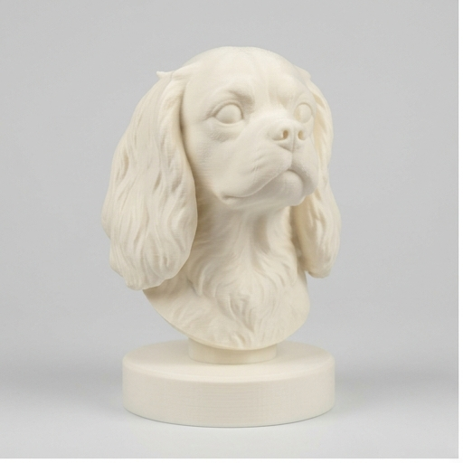 Cavalier King Charles spaniel Dog — photo 3