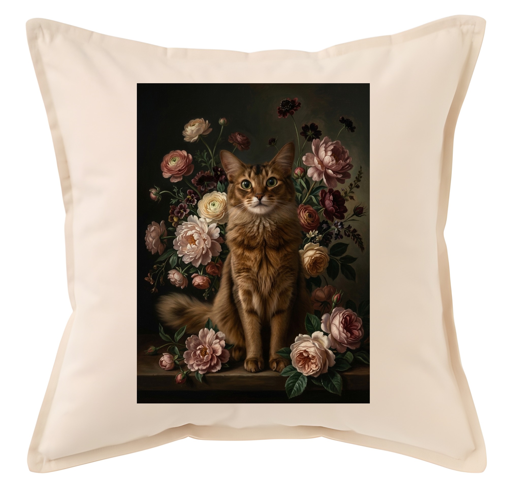 Somali Cat — photo 1