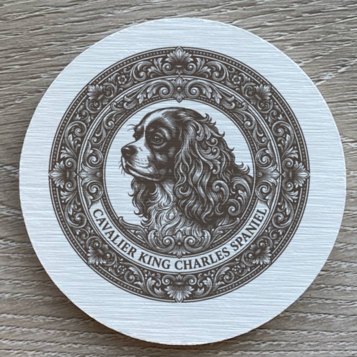 Cavalier King Charles spaniel Dog — photo 2