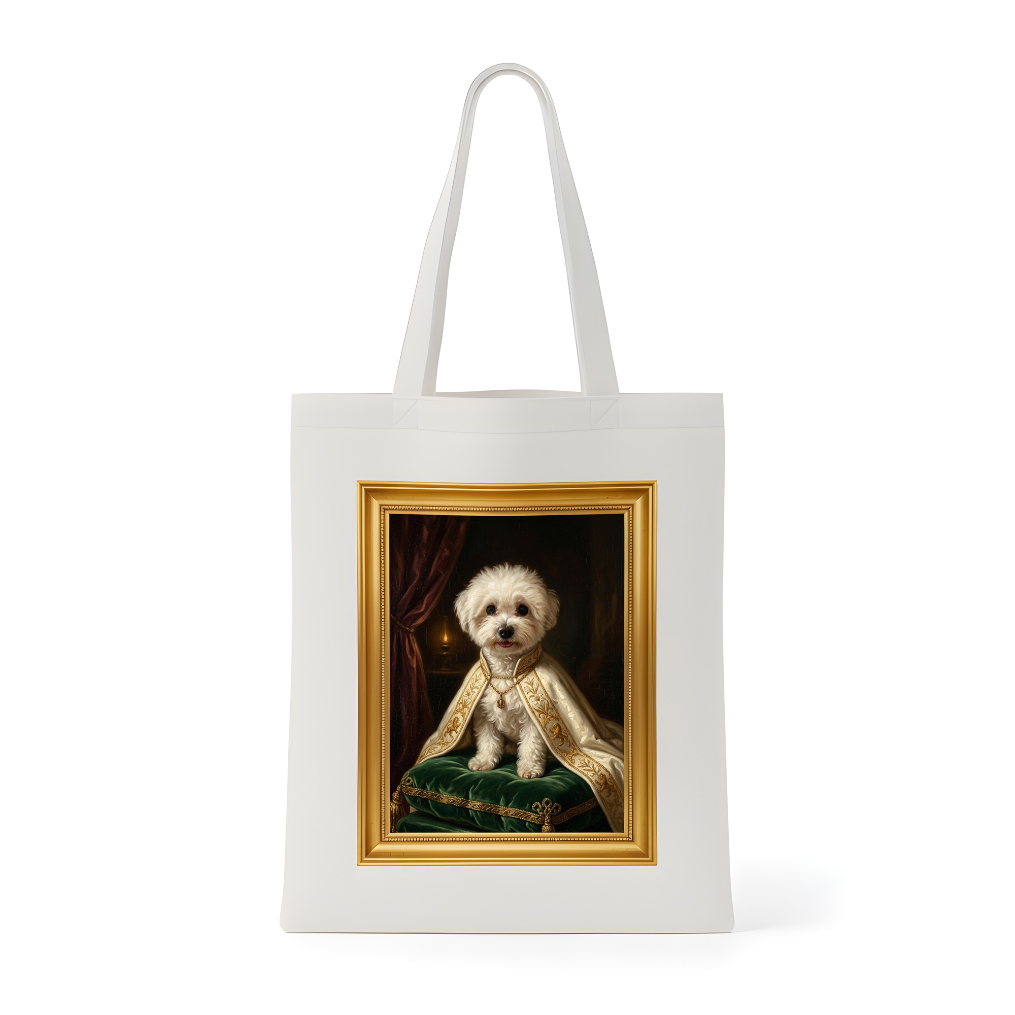 bichon frise Dog — photo 1