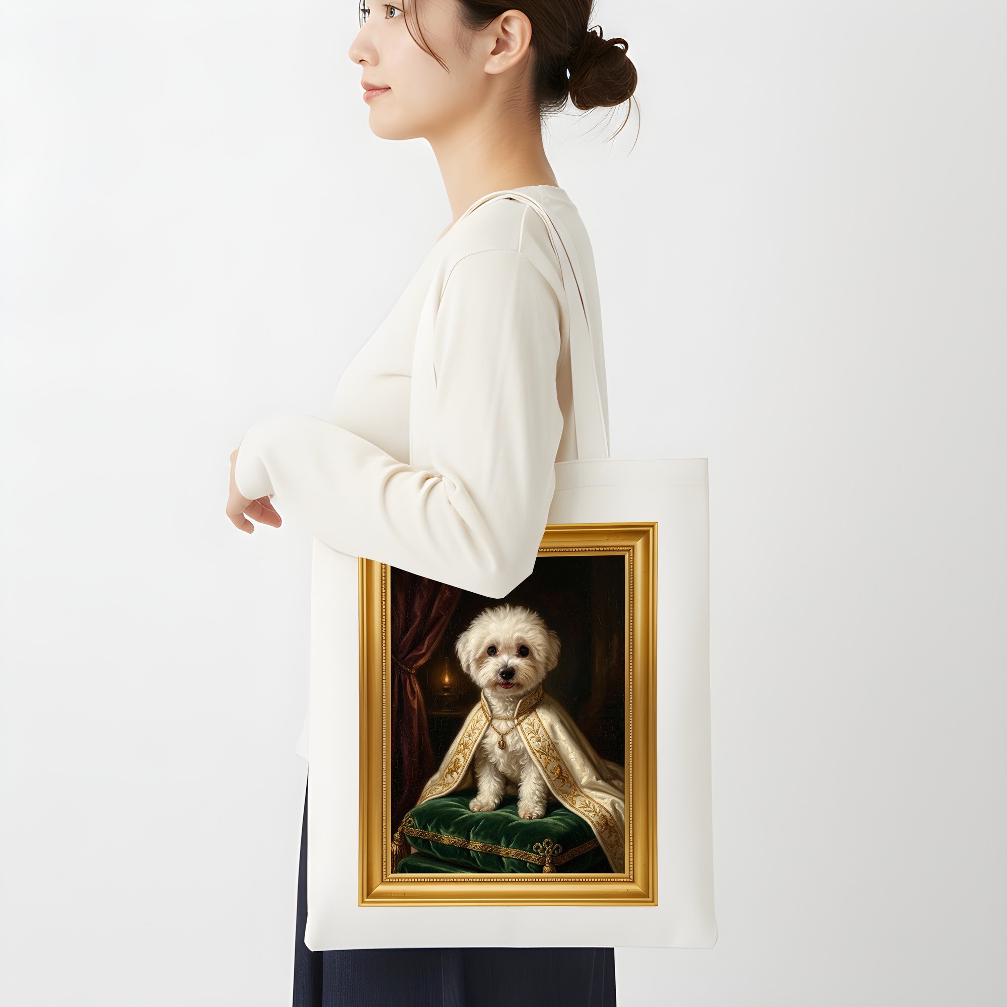 bichon frise Dog — photo 2