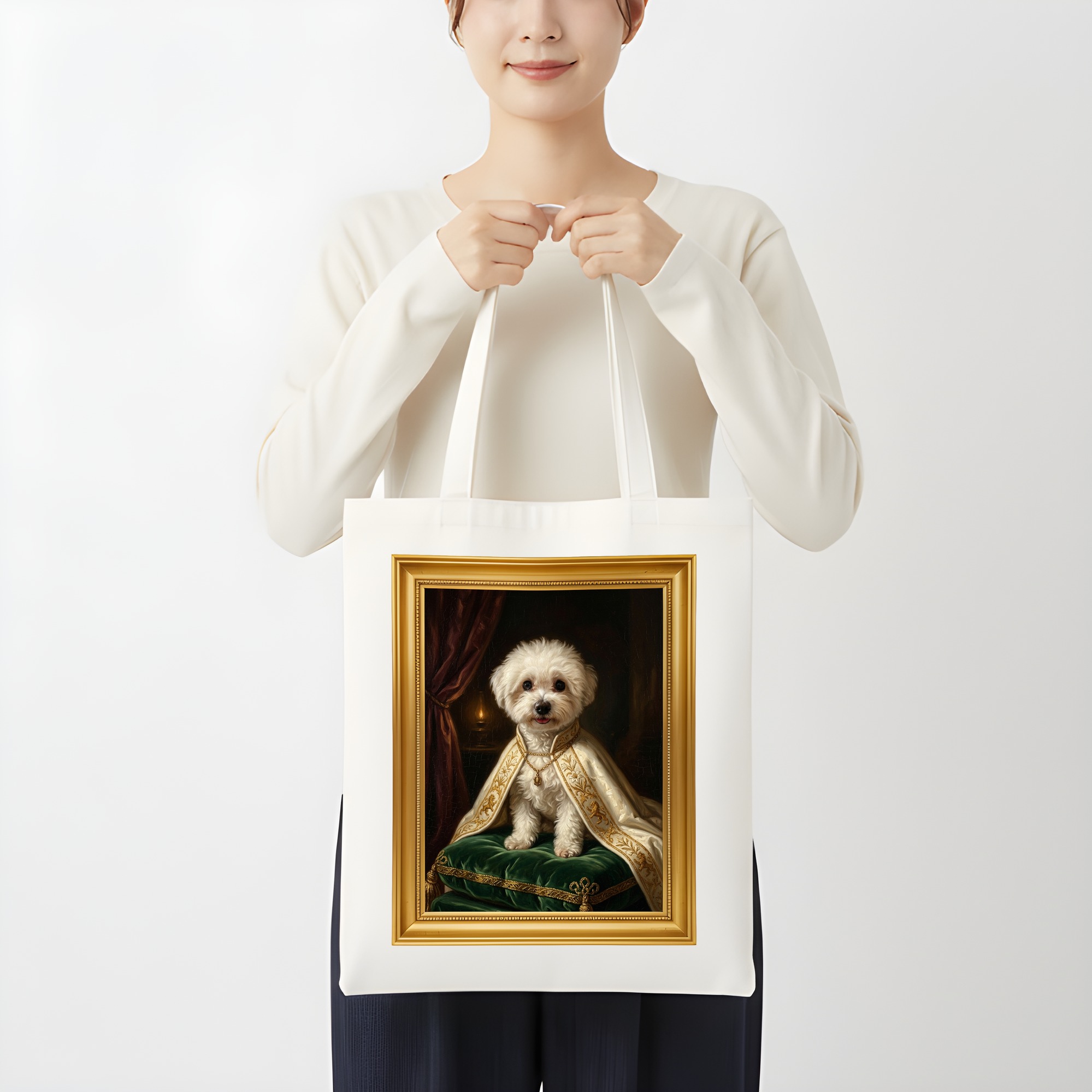 bichon frise Dog — photo 3